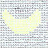 moonpattern_cassia.jpg (620884 bytes)